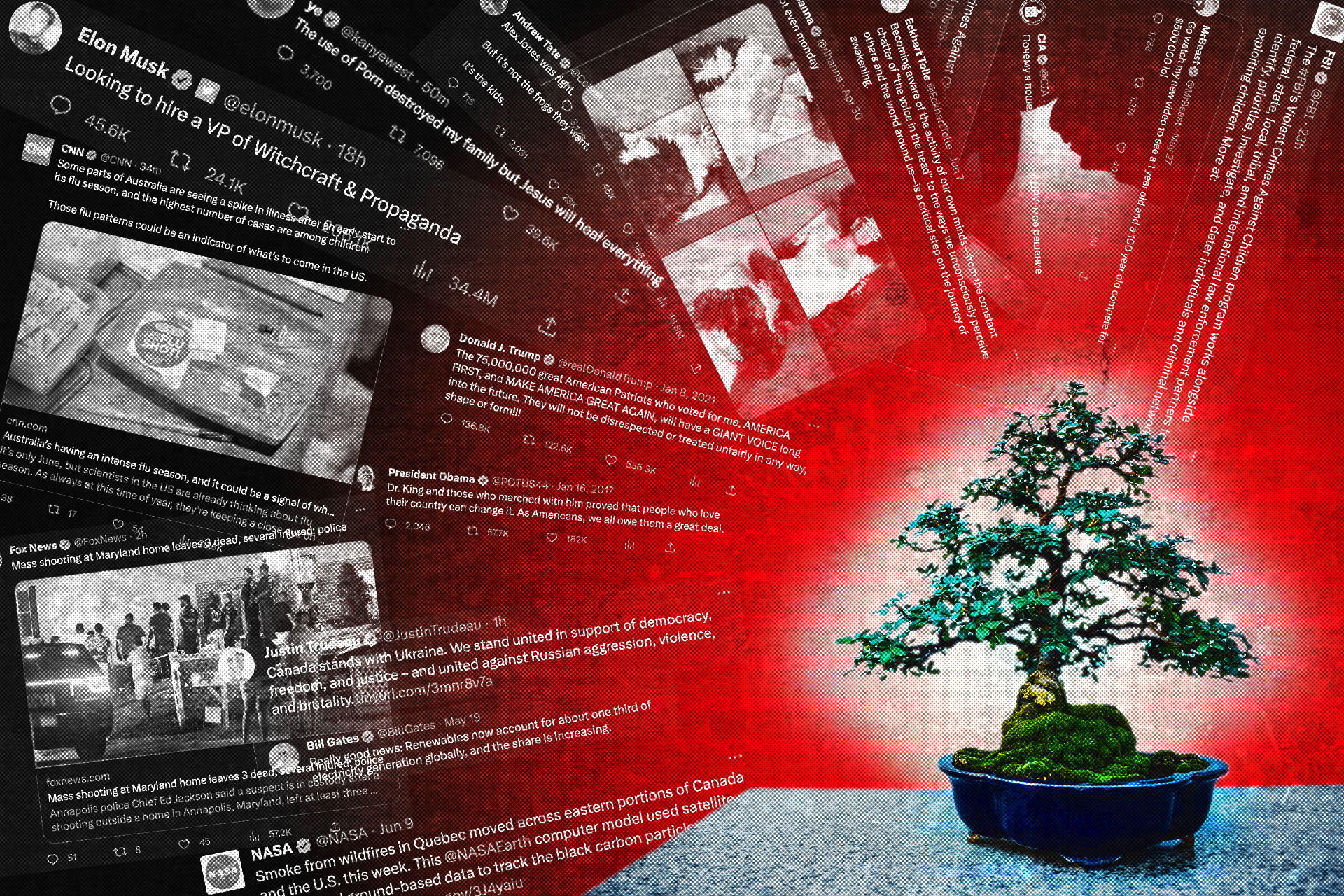 Actes radicaux de quiétude